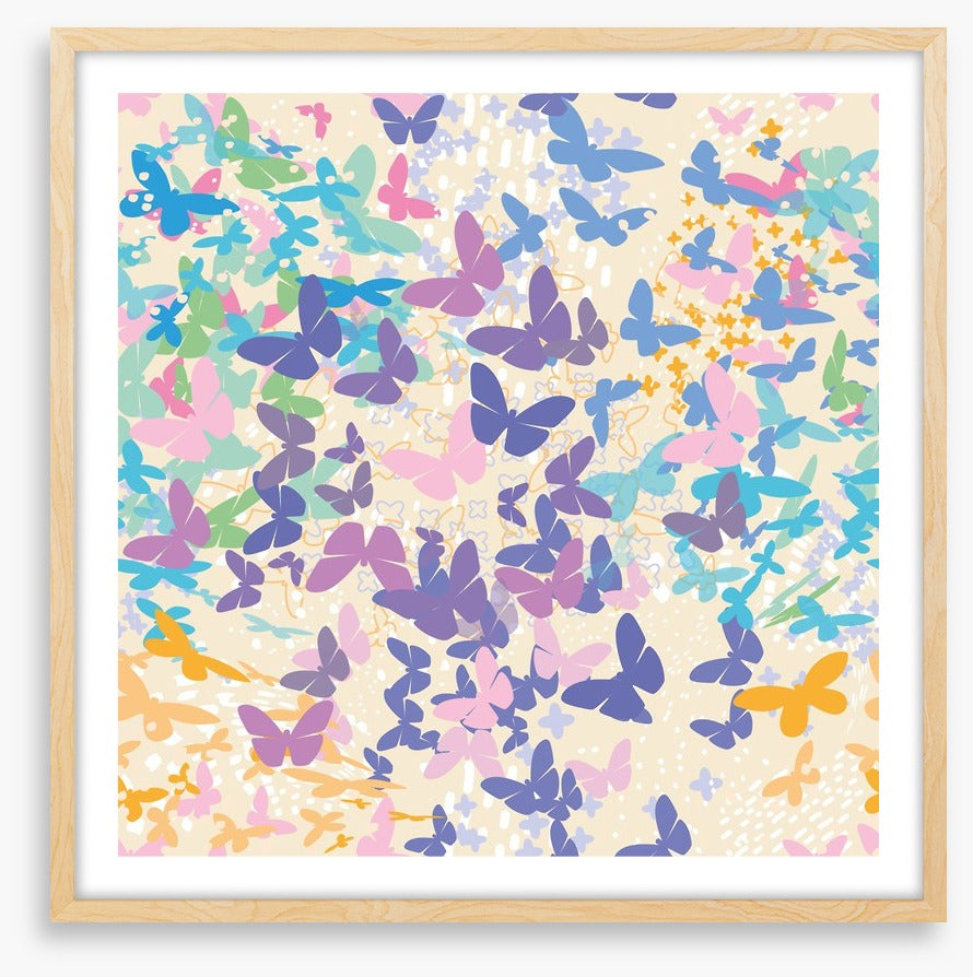 Butterflies