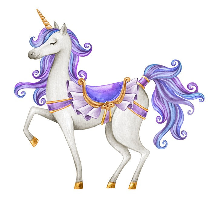 Princess unicorn