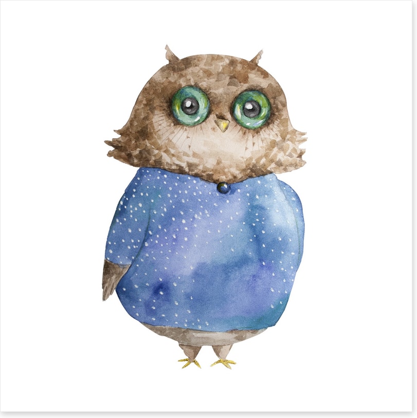 The winter owl