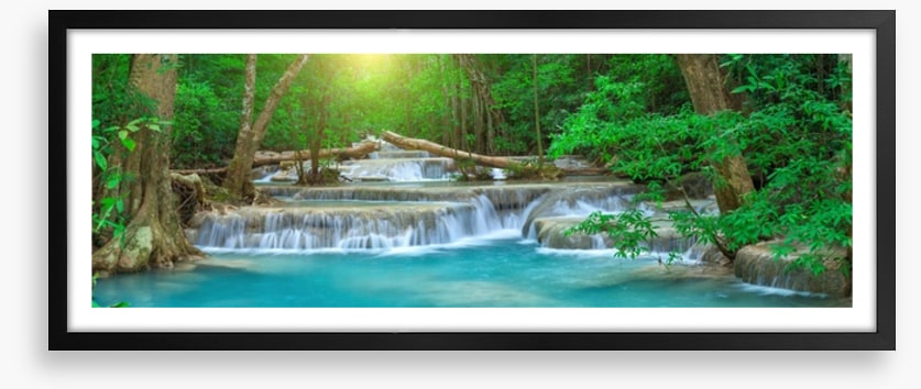 Forest falls panorama