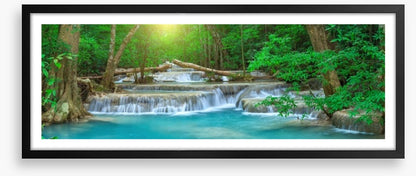 Forest falls panorama