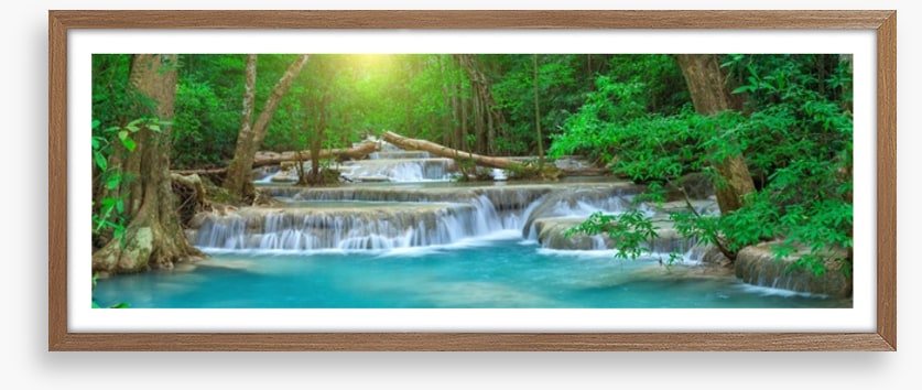 Forest falls panorama