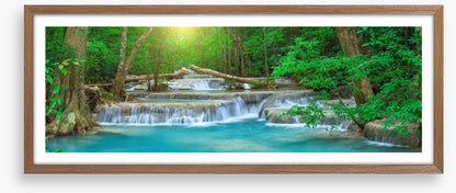 Forest falls panorama
