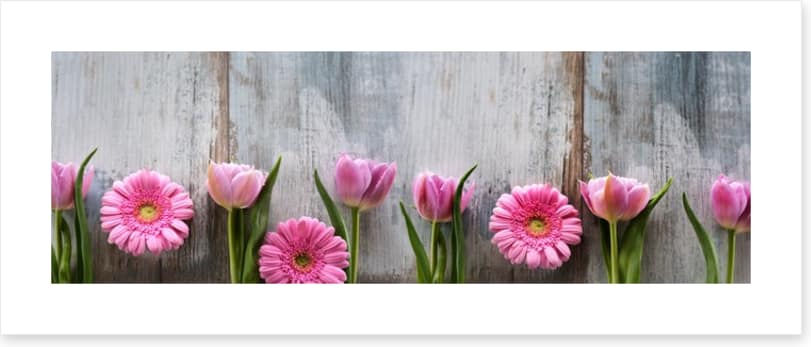 Tulips and gerbera