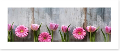 Tulips and gerbera