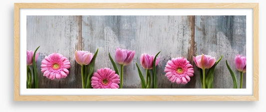 Tulips and gerbera