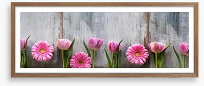 Tulips and gerbera