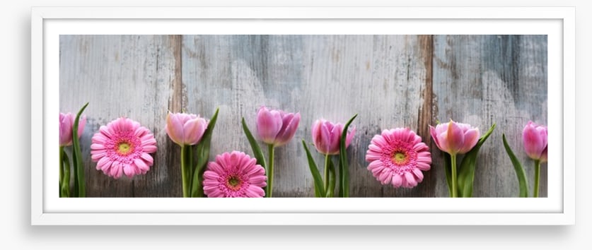 Tulips and gerbera