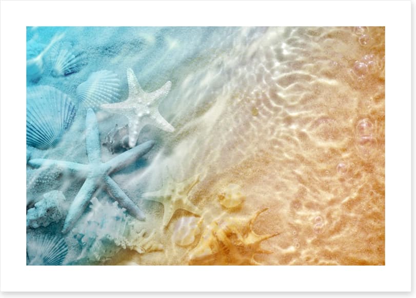 Sandy sea life