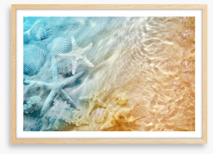 Sandy sea life