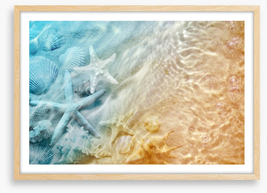 Sandy sea life