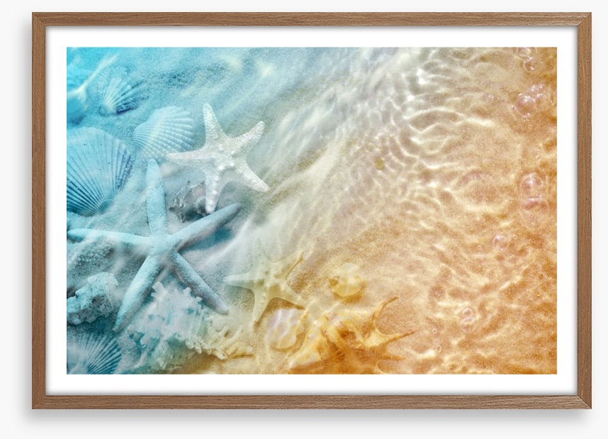 Sandy sea life