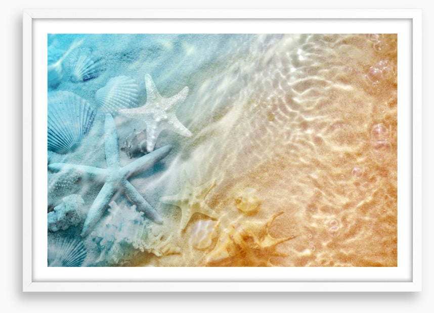 Sandy sea life