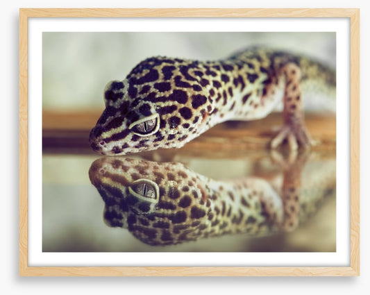Gecko mirror