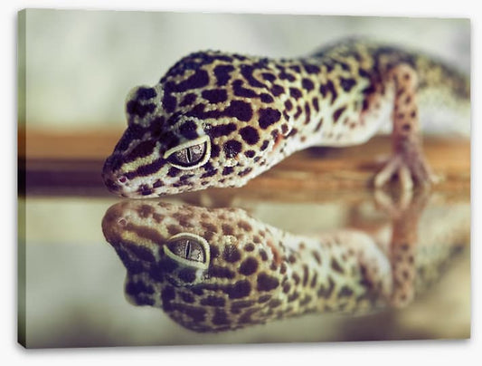 Gecko mirror