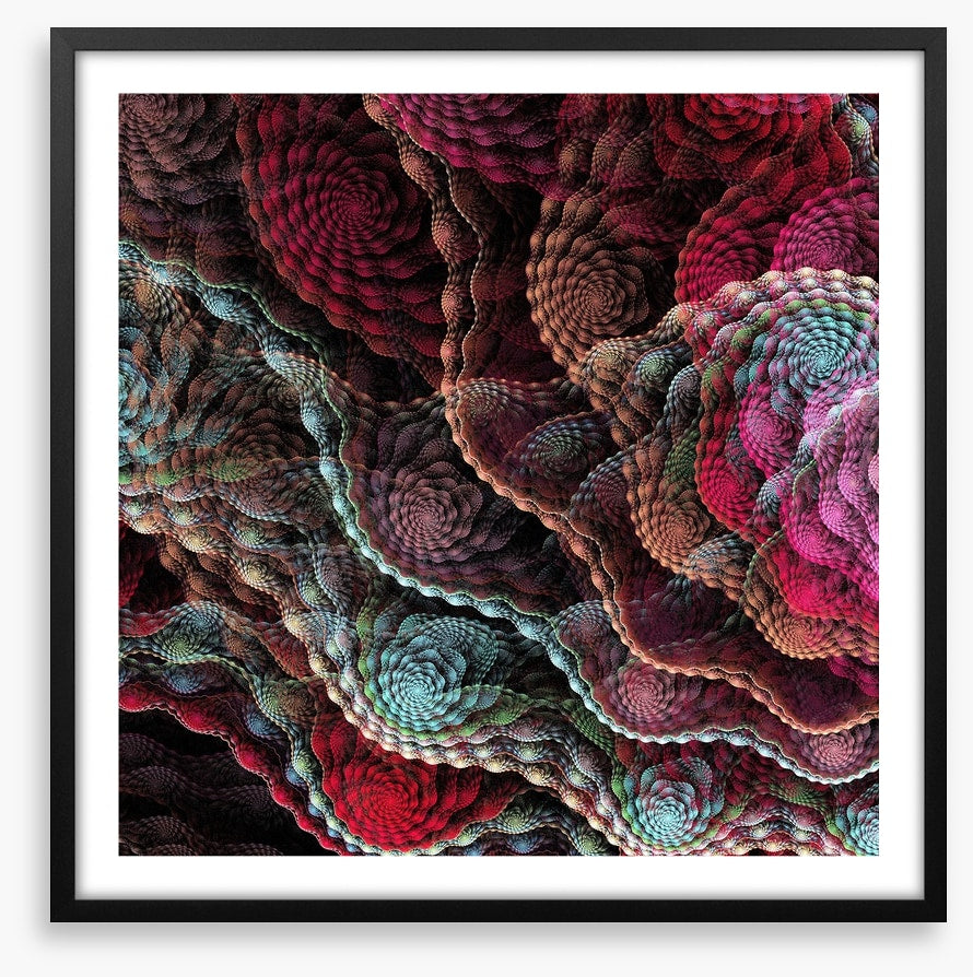 Captivating coral