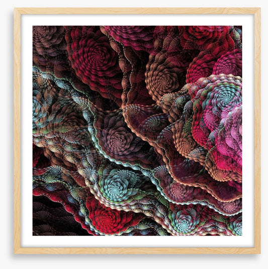 Captivating coral