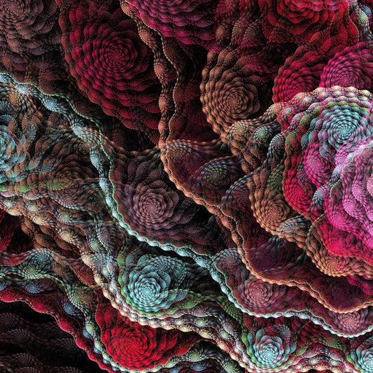 Captivating coral