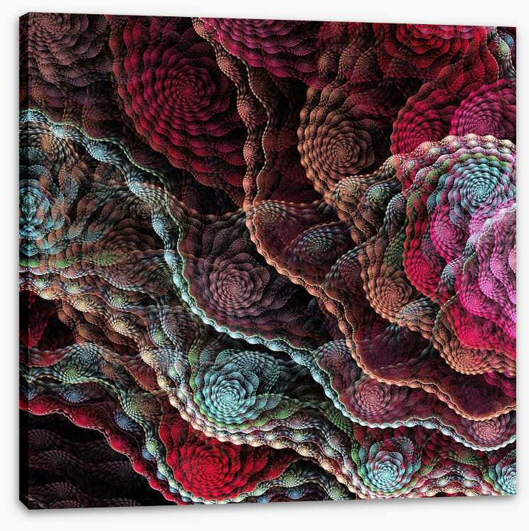 Captivating coral