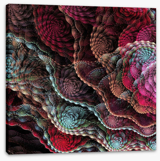 Captivating coral