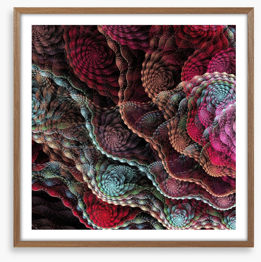 Captivating coral
