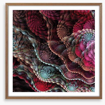 Captivating coral