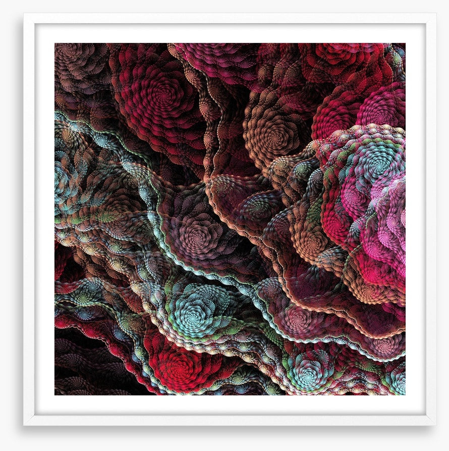 Captivating coral