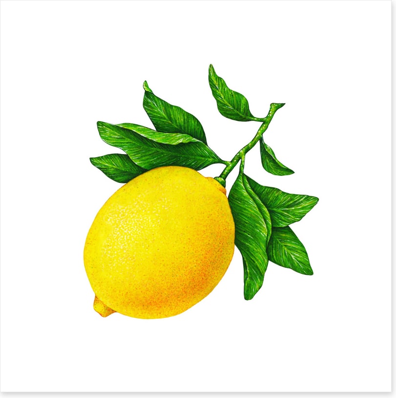 One lemon