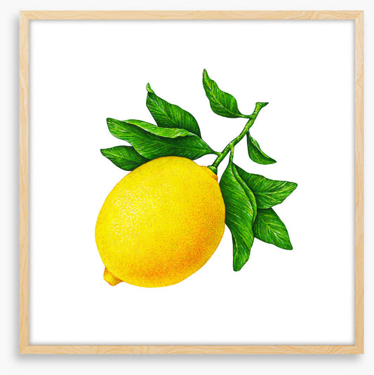 One lemon