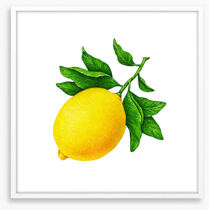 One lemon