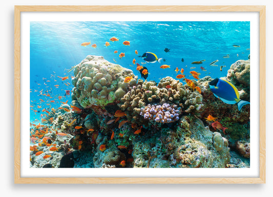 Underwater