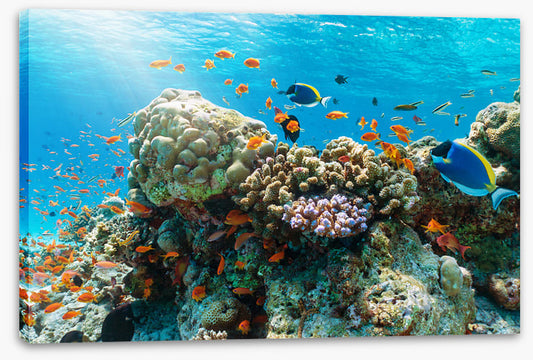Underwater