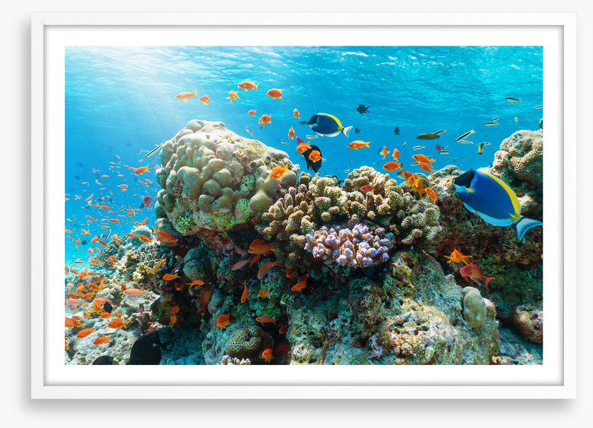 Underwater