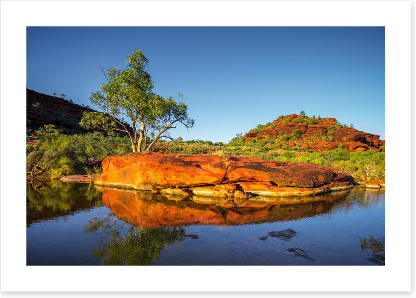 Outback oasis