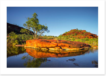 Outback oasis