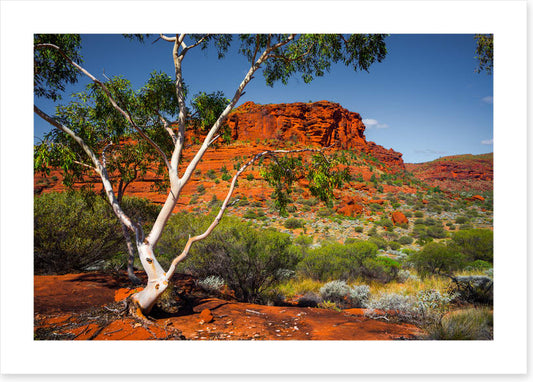 Outback afternoon