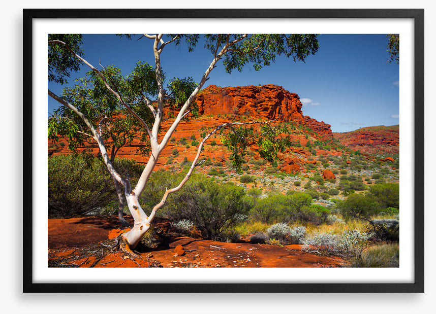Outback afternoon