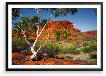 Outback afternoon