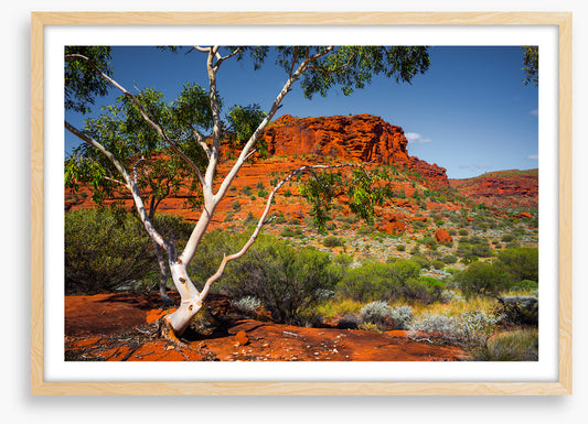 Outback afternoon
