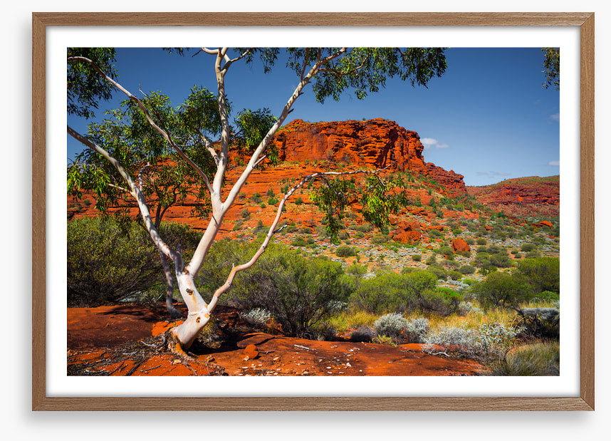 Outback afternoon