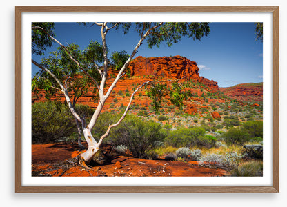 Outback afternoon