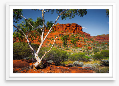 Outback afternoon