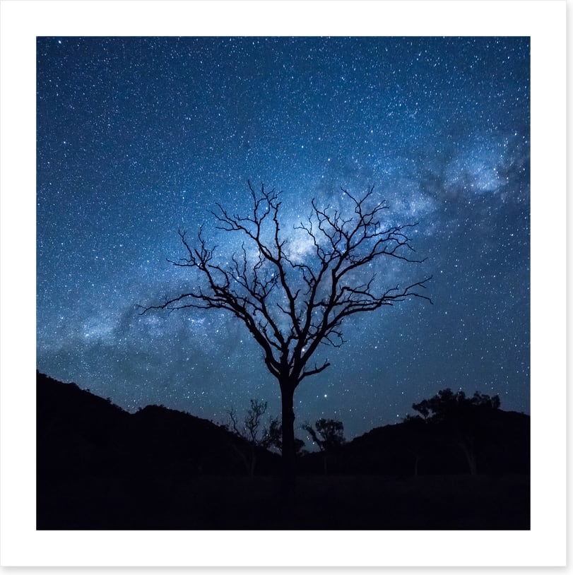 Silhouettes and stars