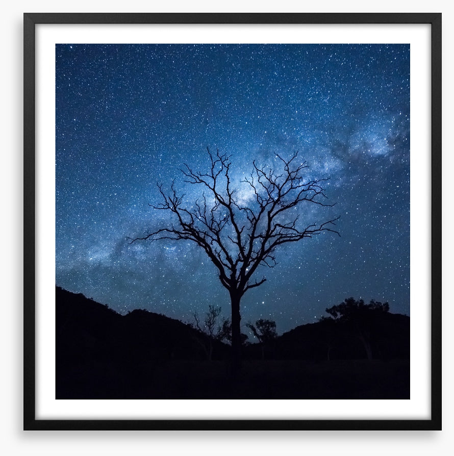 Silhouettes and stars