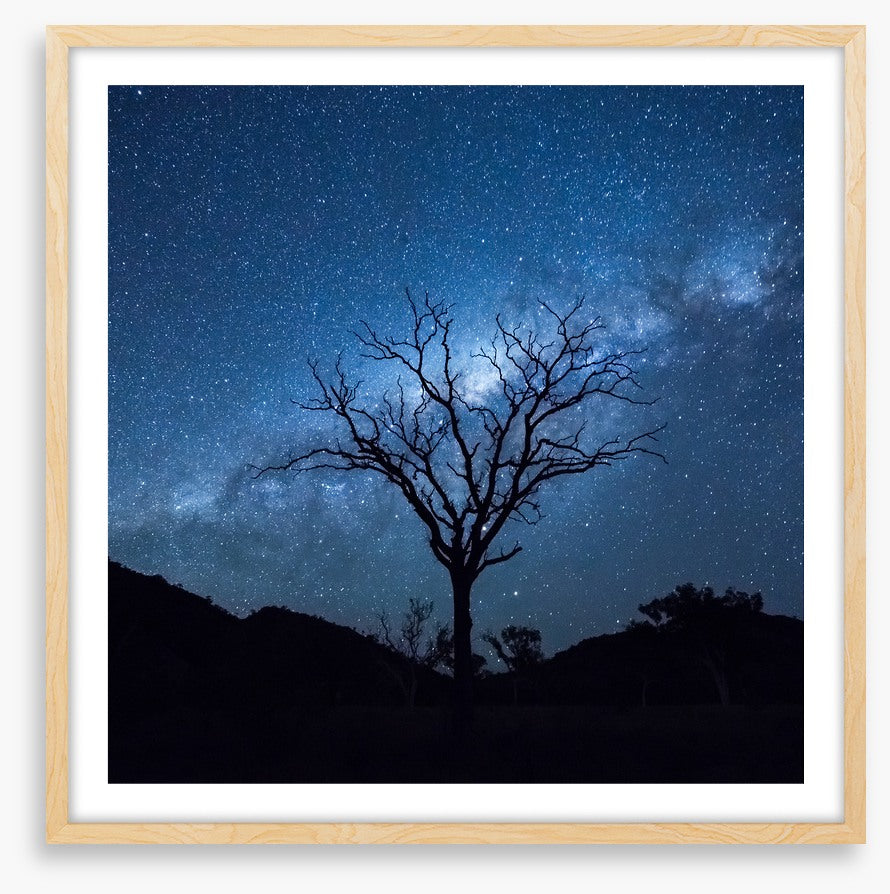 Silhouettes and stars