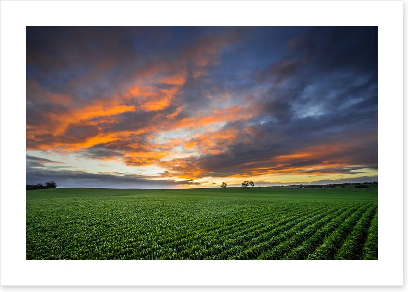 Just crops and clouds