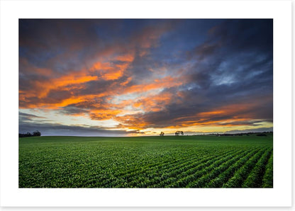 Just crops and clouds