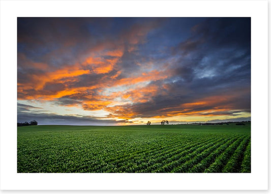 Just crops and clouds