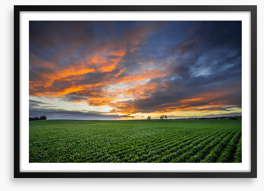 Just crops and clouds