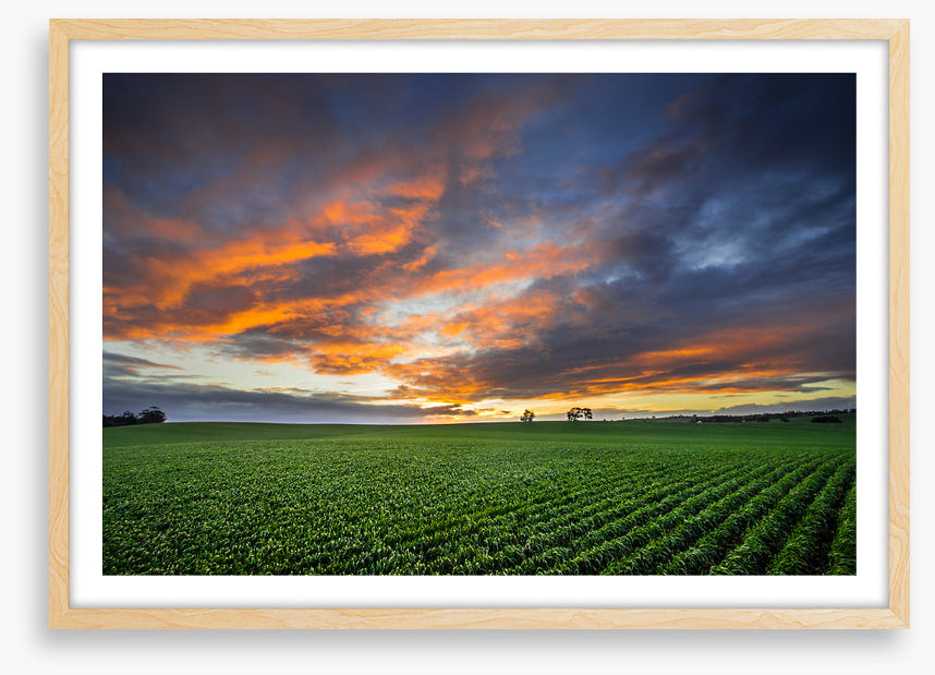 Just crops and clouds